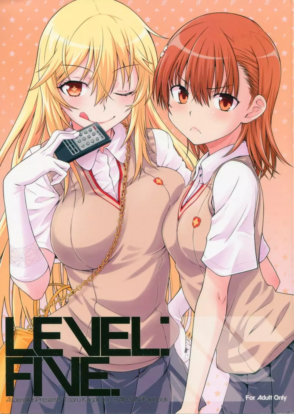 LEVEL FIVE