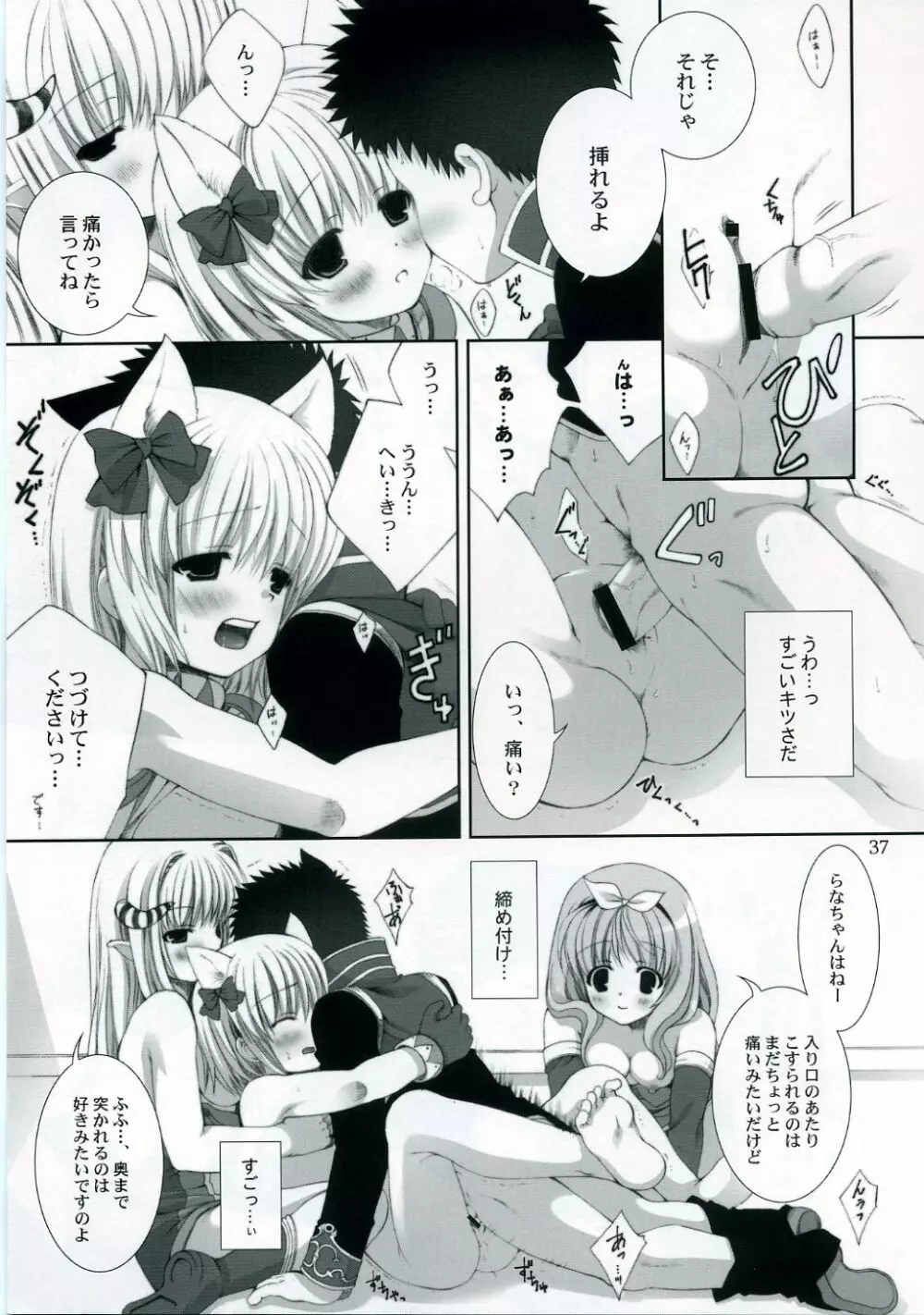 ragnarok online book 36ページ