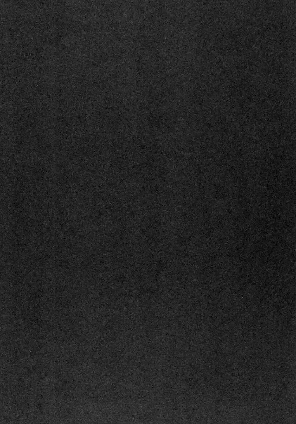 妖夢催眠 3ページ