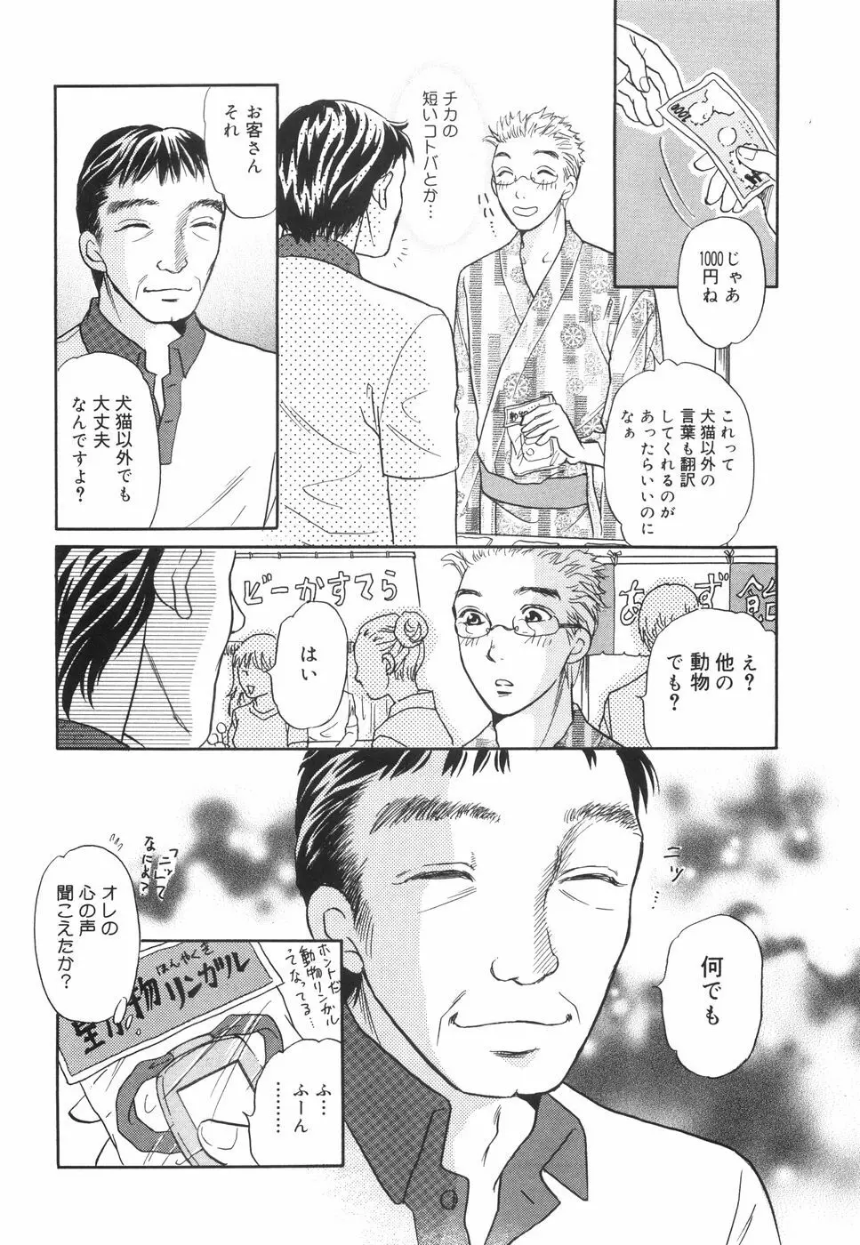 してみる? 15ページ