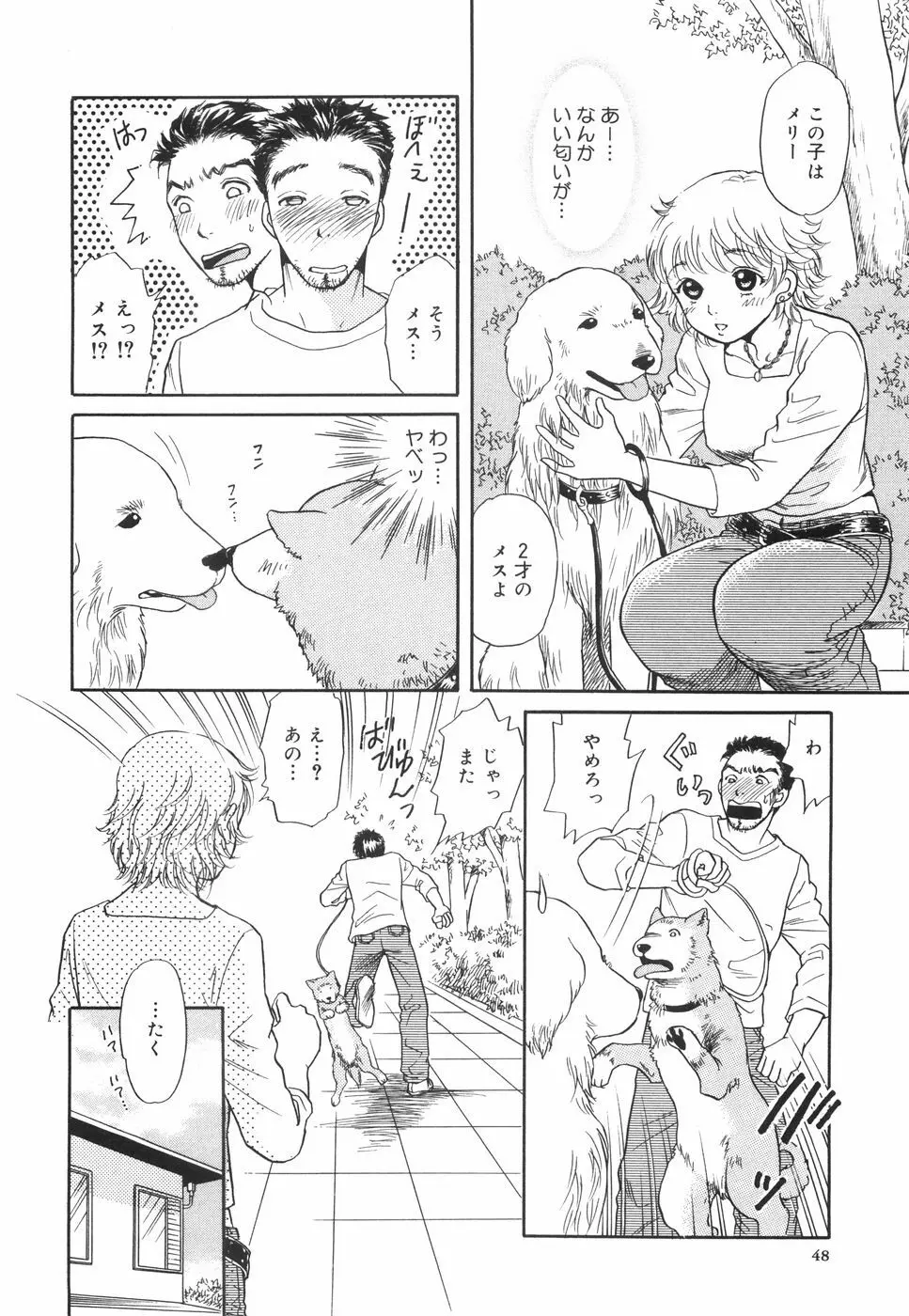 してみる? 53ページ
