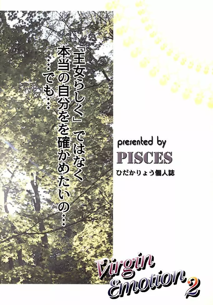 Virgin Emotion 2 30ページ